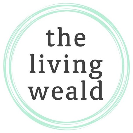 thelivingweald's profile picture. ⭐️All about the great things going on in the #Weald of #Kent & #EastSussex and supporting our local Wealden businesses! #shoplocal | Susie Smith @socialwizeuk