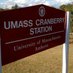 UMass Cranberry Station (@UMassCranberry) Twitter profile photo