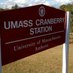 UMass Cranberry Station (@umasscranberry) Twitter profile photo UMass Cranberry Station (@umasscranberry) Twitter profile photo