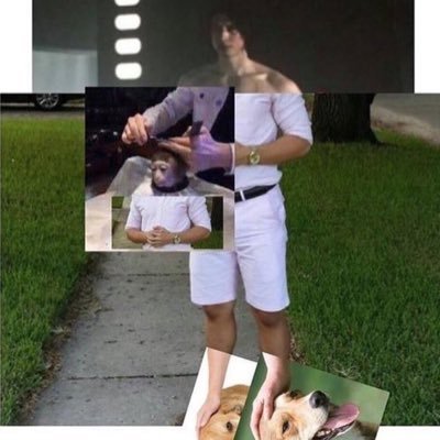 Memos5friendos's profile picture. Meme dump