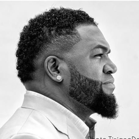 David Ortiz Profile