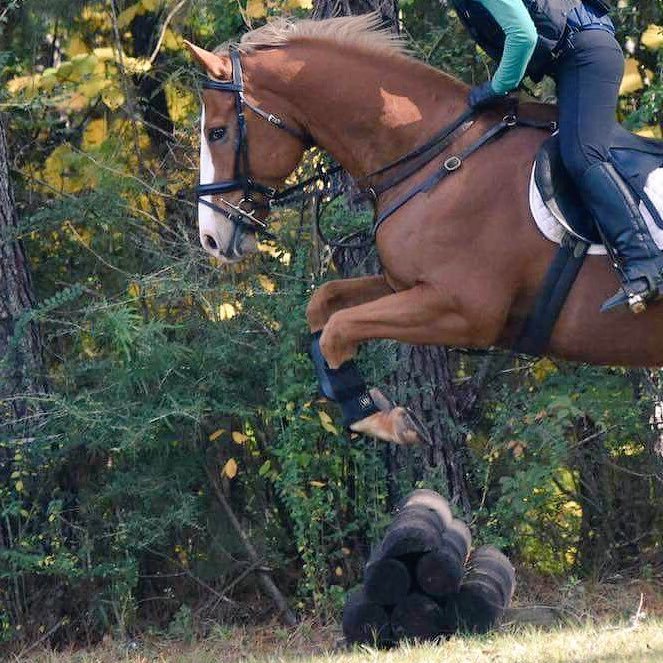I rode 4x a week for a year to go to my first horse trials and haven’t competed in one since