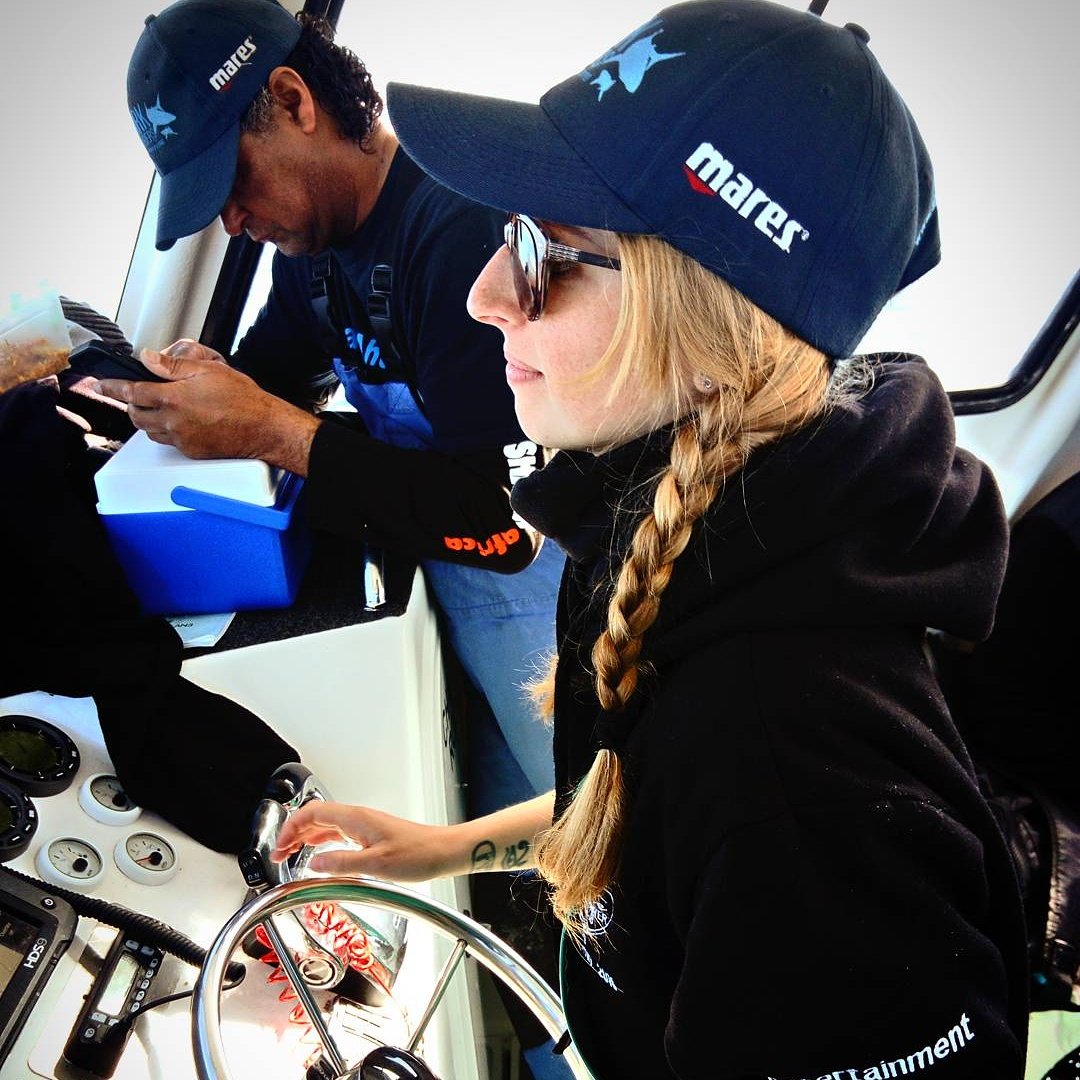 Shark biologist 🦈 | PhD Candidate at @StellenboschUni | @WomeninOceanSci Ambassador | 🇩🇪, now in 🇿🇦 | Underwater📸 | Social Media Team @Justice4Jaws