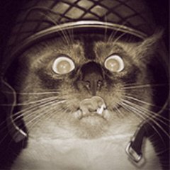 Иванさんのプロフィール画像