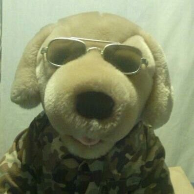 I'm a dog. I love wine. My soul belongs to ABBA. My old Vietnam buddies all live in Hawaii.