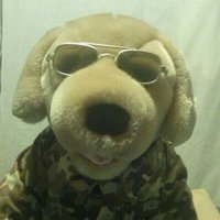 Tom Magnum (@dogloveswine) 's Twitter Profile Photo Tom Magnum (@dogloveswine) 's Twitter Profile Photo