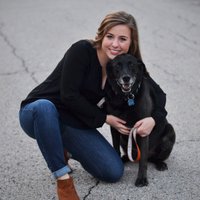 Laura Flandermeyer (@l_flandermeyer) 's Twitter Profile