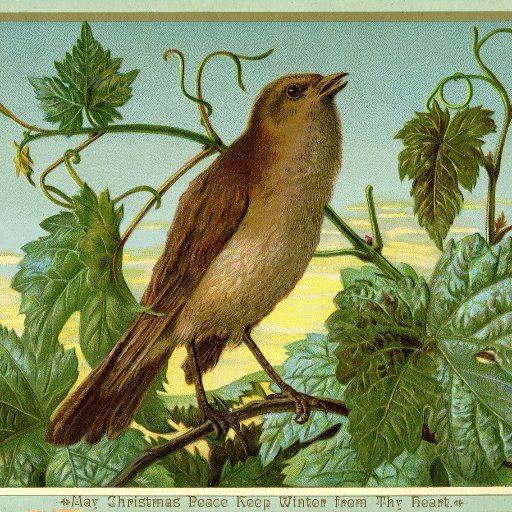 Bird on a Vine