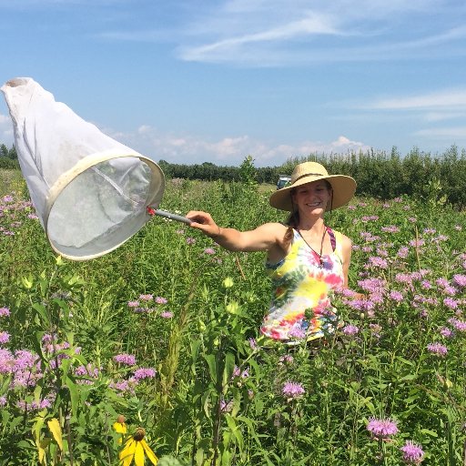 PhD student in the Cariveau Native Bee Lab at the UMN. Studying ground-nesting bees, prairie restoration and science policy. Tweets are my own. She/her/hers. 🐝