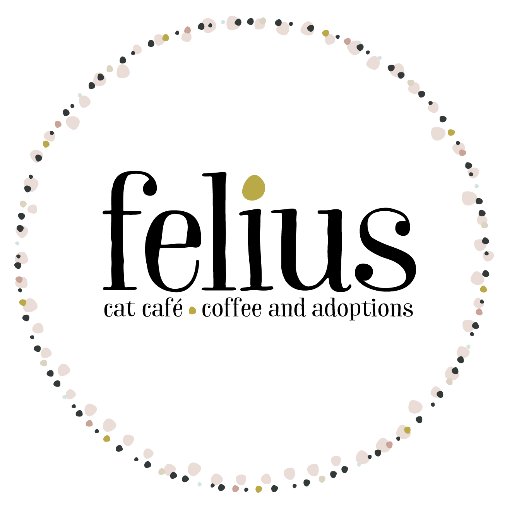 Felius Cat Café & Rescue