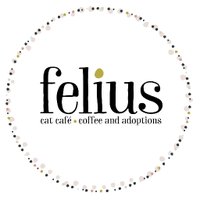 Felius Cat Café & Rescue (@feliusomaha) 's Twitter Profile