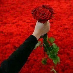 5GWFLhCwHStdE0i's profile picture. 