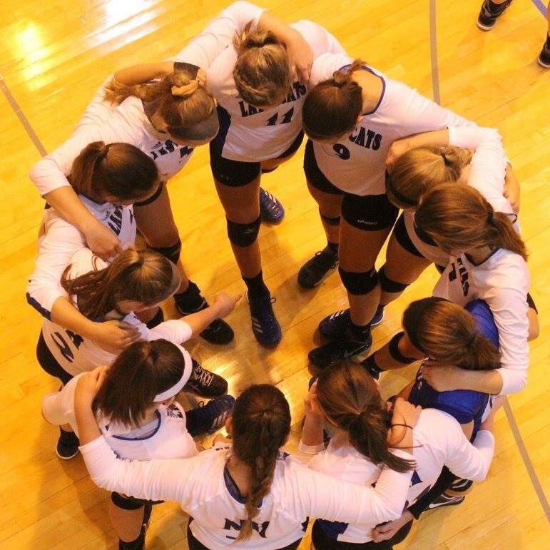 NHCatsVball's profile picture. 