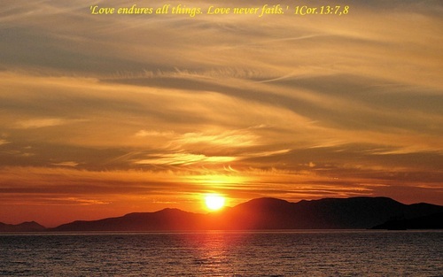 whitleywms's profile picture. Love To Engage In Physical Fitness 6 Days A Week. Thanks to Xocai Healthy Chocolate for The Athletic Benefits.