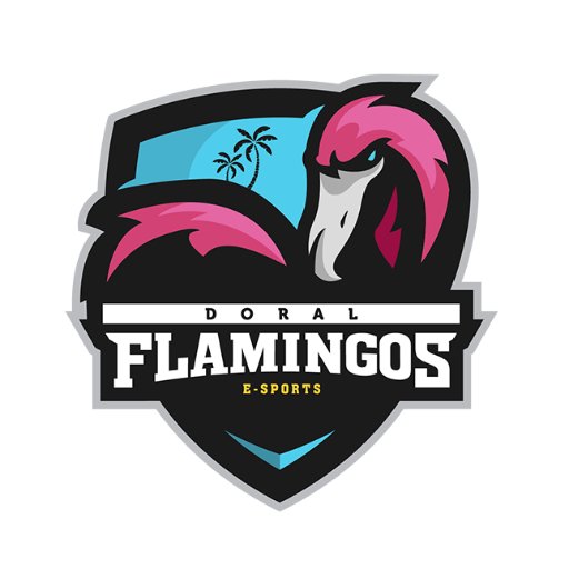 Professional gaming organization competing in #CSGO. Doral Flamingos is headquartered in Doral, FL. #GoFlamingos #GODF