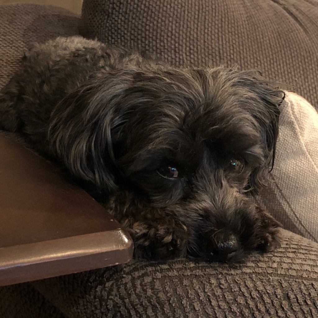 kspencer1776's profile picture. 