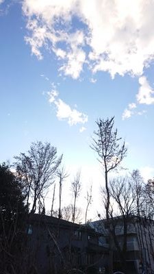 nao568's profile picture. 