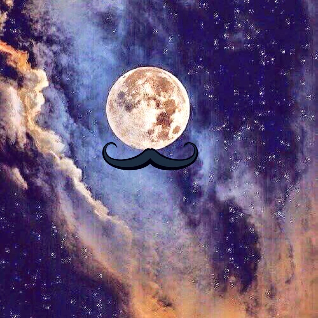 MCSV00's profile picture. 