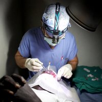 HelpMercy International (@helpmercyi) 's Twitter Profile