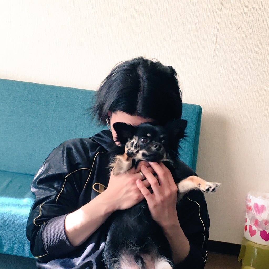 かい、一般人になりました。 元音響さん。 地元にもどってきました。