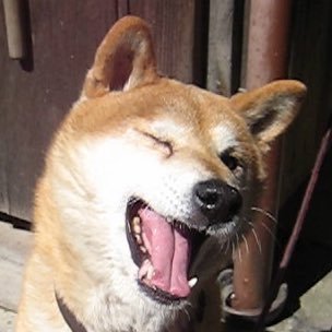 妄想敷布団 警察官も弁護人も苦笑い 痛いニュース ﾉ 電車で中１女子に精液をかけた小学校教頭を逮捕 出たのは間違いないが 短パンだからかかった T Co Lfh8pdnetq