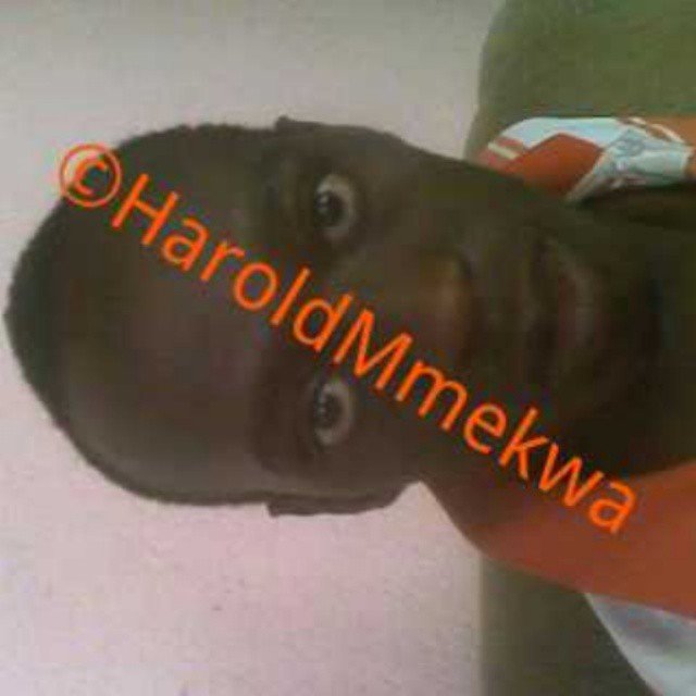 HaroldMmekwa1 Profile Picture