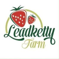 Leadketty Farm(@LeadkettyFarm) 's Twitter Profile Photo
