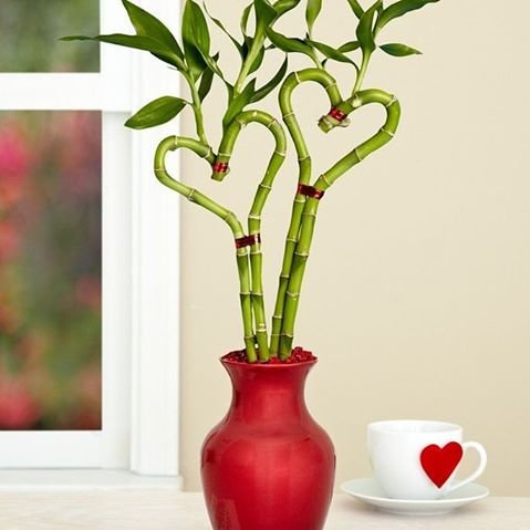 OsamhSaqer's profile picture. 