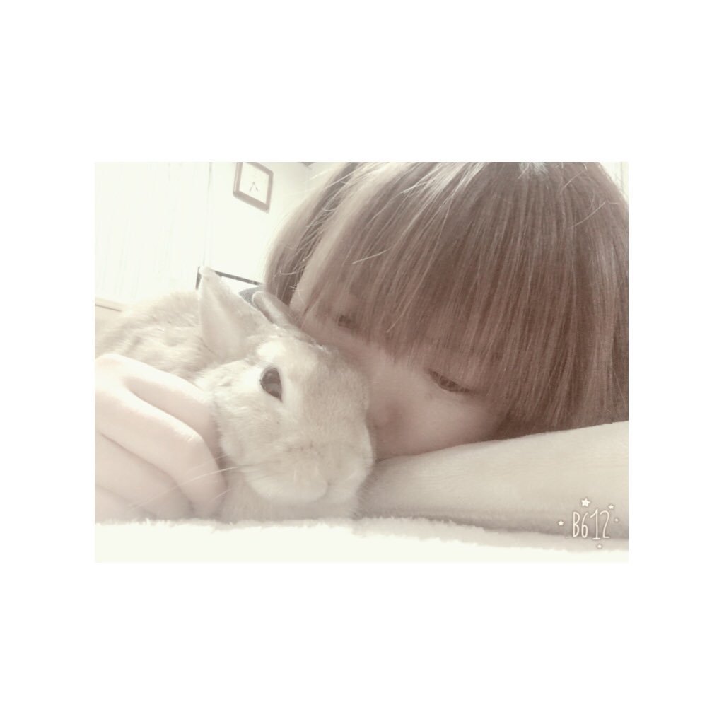 chaixakixchai's profile picture. TO DESTINATION が好き♥うさぎオタク🐰ランとコナンとシェリー @usako0914ran🐰
