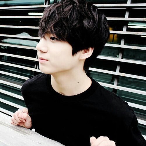 nochutaehope's profile picture. 170506-07 #WingsTourinManila | new carat | wonu