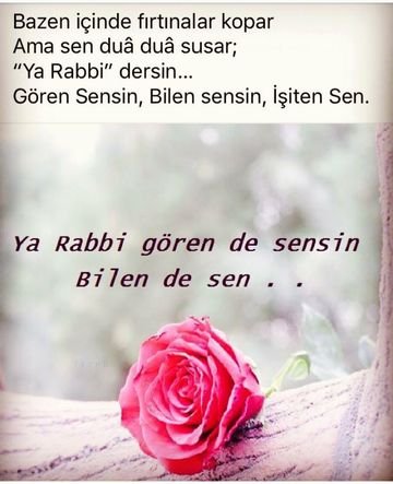 İnstigram hesabım arkadaslar @selmamlaorgu patik resmi vardır takip edenleri sımdıden teskkurler