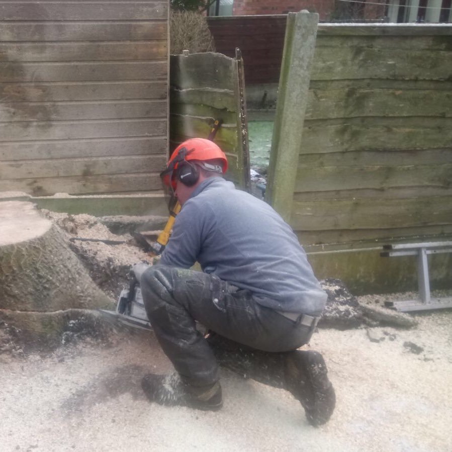 Bridgewater Tree Services Ltd