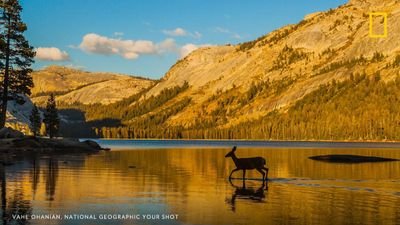 GhulamGh3's profile picture. everyday struggle