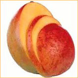 garyhforhealth's profile picture. I'm GaryH for HEALTH, working with enlightened doctors and others, spreading the word on how to achieve optimal health through proper nutrition & exercise.