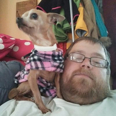 mrdavecollier's profile picture. 