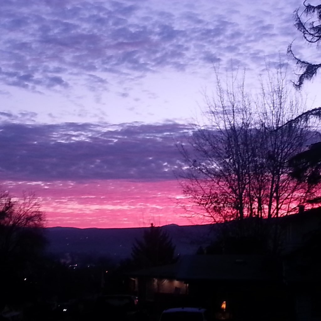 shondaneu's profile picture. 