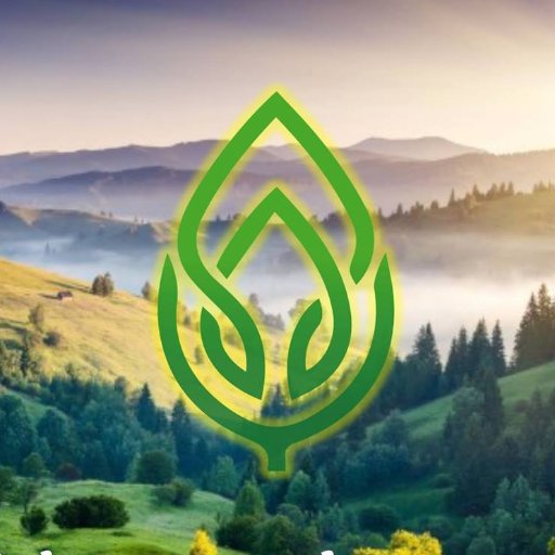 natura_living's profile picture. Your online source to living a #healthy #life...#Naturally! Useful tips and ideas for a #sustainable #present!