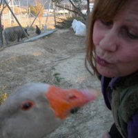 Rosemary Wallsworth (@rosemarywallsw9) 's Twitter Profile Photo Rosemary Wallsworth (@rosemarywallsw9) 's Twitter Profile Photo