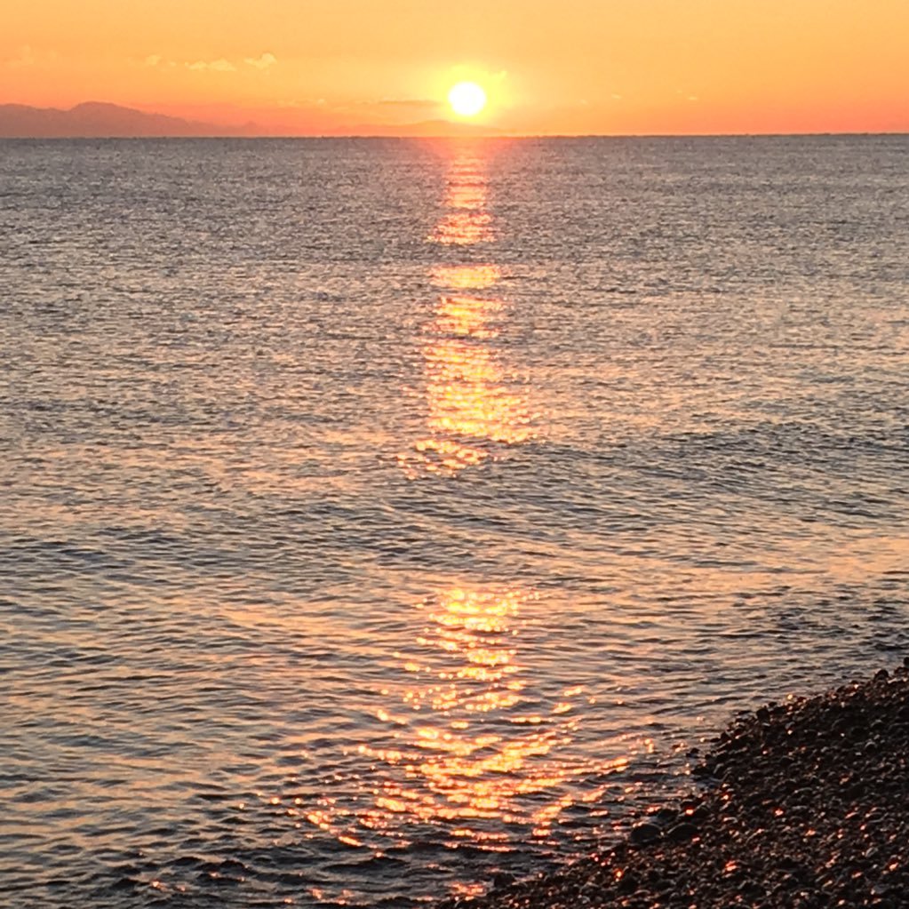 wjqw307312771's profile picture. エギング/アジングなどやってます。 自分の釣り方を探す