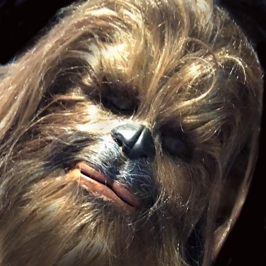 猫とstar warsが大好きです。女子ですが チューバッカのフルコスやってます! オーダーで猫グッズの制作・販売。売り上げの一部で地域猫のTNRの支援をしています。 無言フォロー、許してね〜ヽ(´o`)💦フォロー、お気軽にどうぞ!