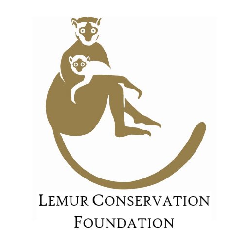 Lemur Conservation Foundationさんのプロフィール画像