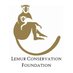 Lemur Conservation Foundation (@lemurreserve) Twitter profile photo