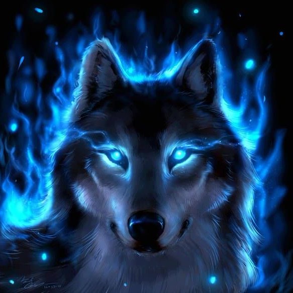 Akerouthewolf's profile picture. 💜🐺
