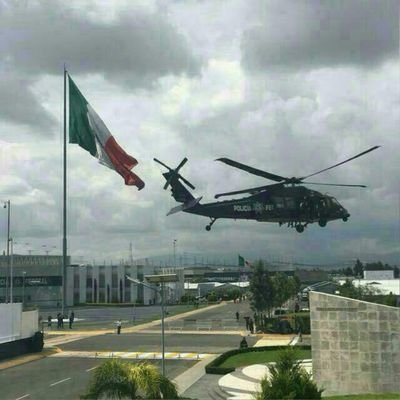 car113442's profile picture. 