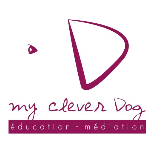 Ethologue et éducateur canin, je donne des cours d'éducation canine et interviens en école pour faire de la prévention morsure auprès des enfants dans l'Aube.