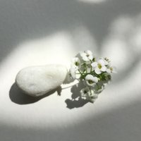 Minimalismusboho (@minimalismusbo2) 's Twitter Profile
