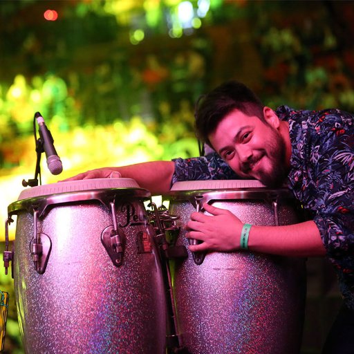Publicista - Social Media Analyst Senior - Percusionista aficionado