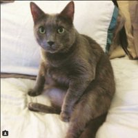 Ryan T (@mdwordslinger) 's Twitter Profile