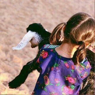 . וﺳﻣع ﺑﻃιري ιﻟﻣۈتء ۈιﻗۈل ﯾιربء *ﺗﻐﻓر ذﻧۈﺑﻲء ﻗﺑل ﺣﺣزﮪۂ # ۈﻓιﺗﻲء*