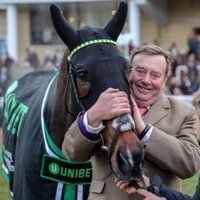 Nicky Henderson (@sevenbarrows) 's Twitter Profile